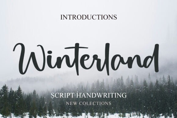 Winterland: Bold Script with a Commanding Presence